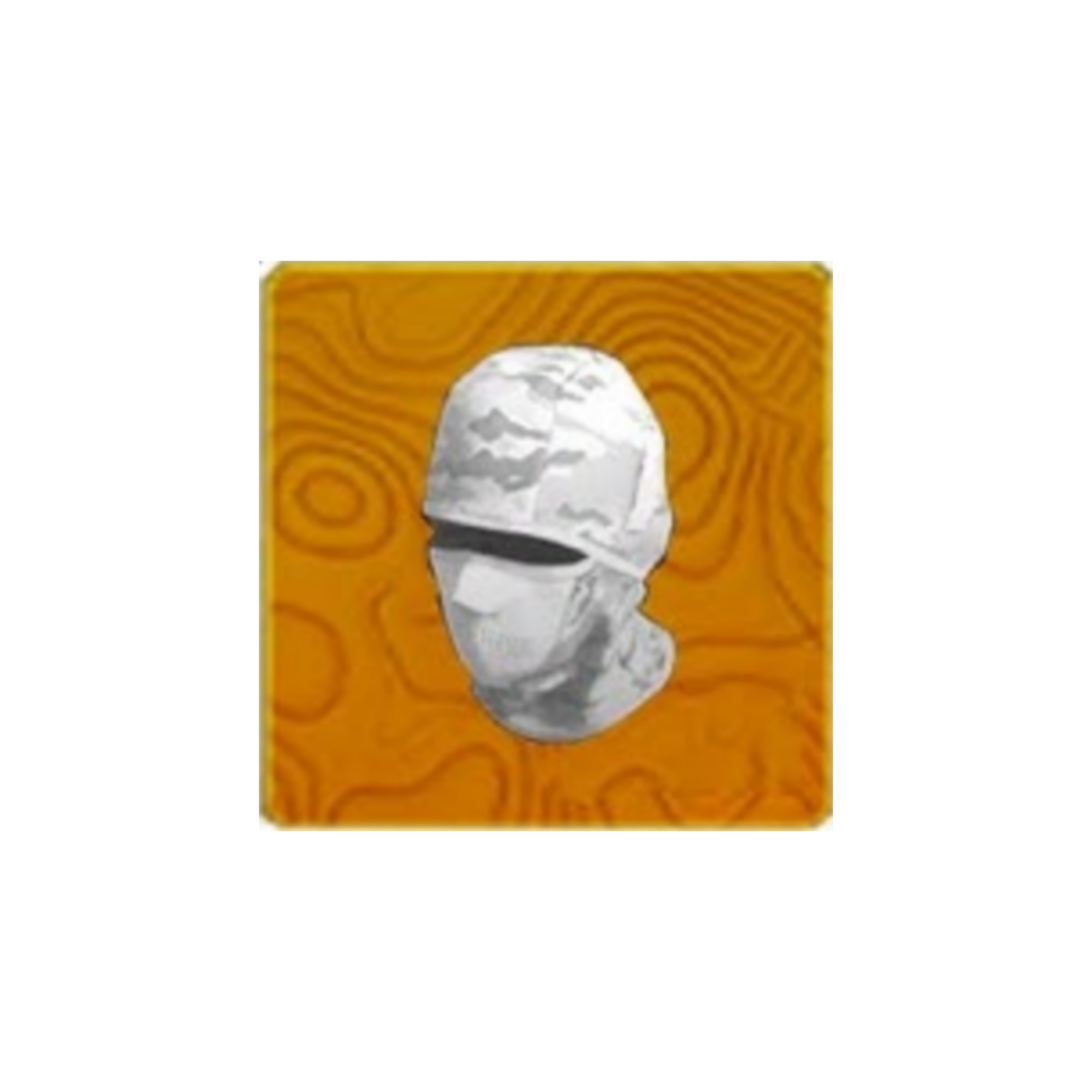 Disguise Item
